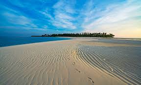 images (4)